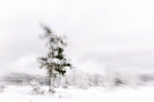 Photo experimentation
